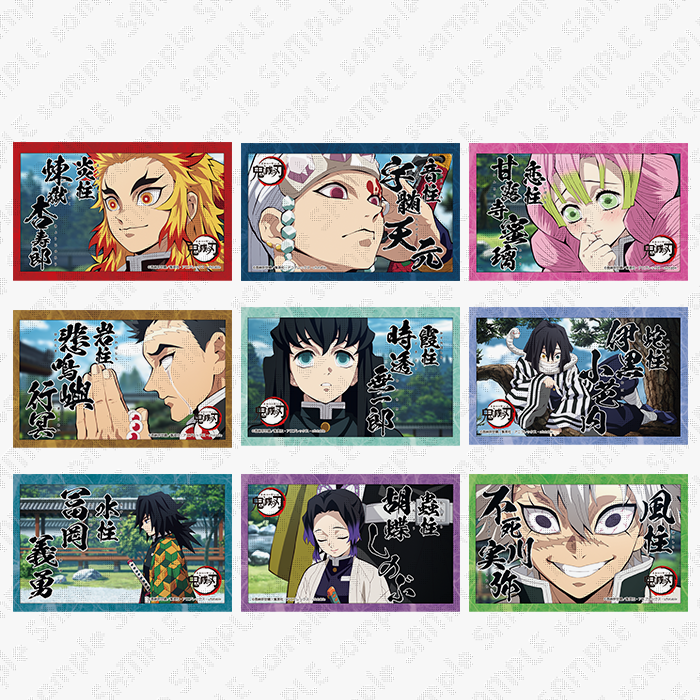 Demon Slayer -Kimetsu no Yaiba- Hashira Arrives, Button Badge (Mystery